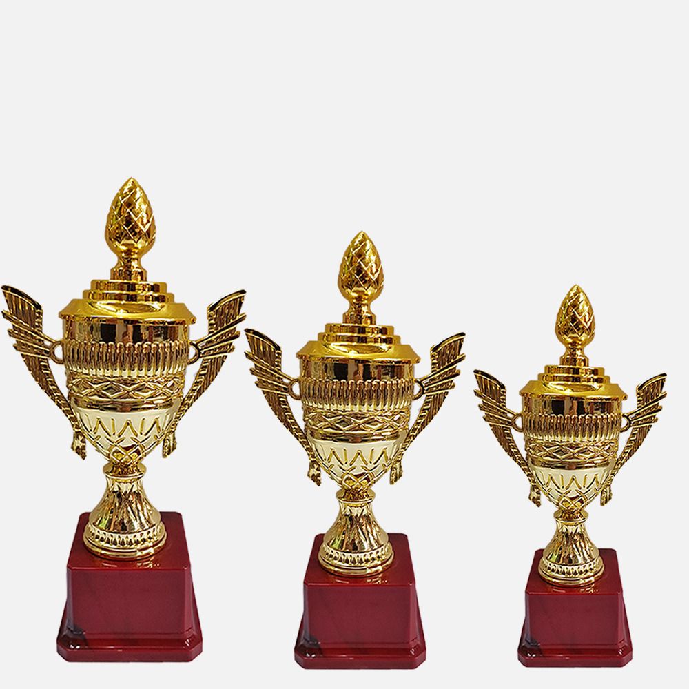 bareezé pure Trophy Set of 3 trophy cup/ trophy awards/ awards/ trophy cup set Trophy-picture-12