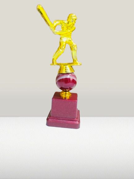 Cricket Batsman Trophy 24 inch Trophy