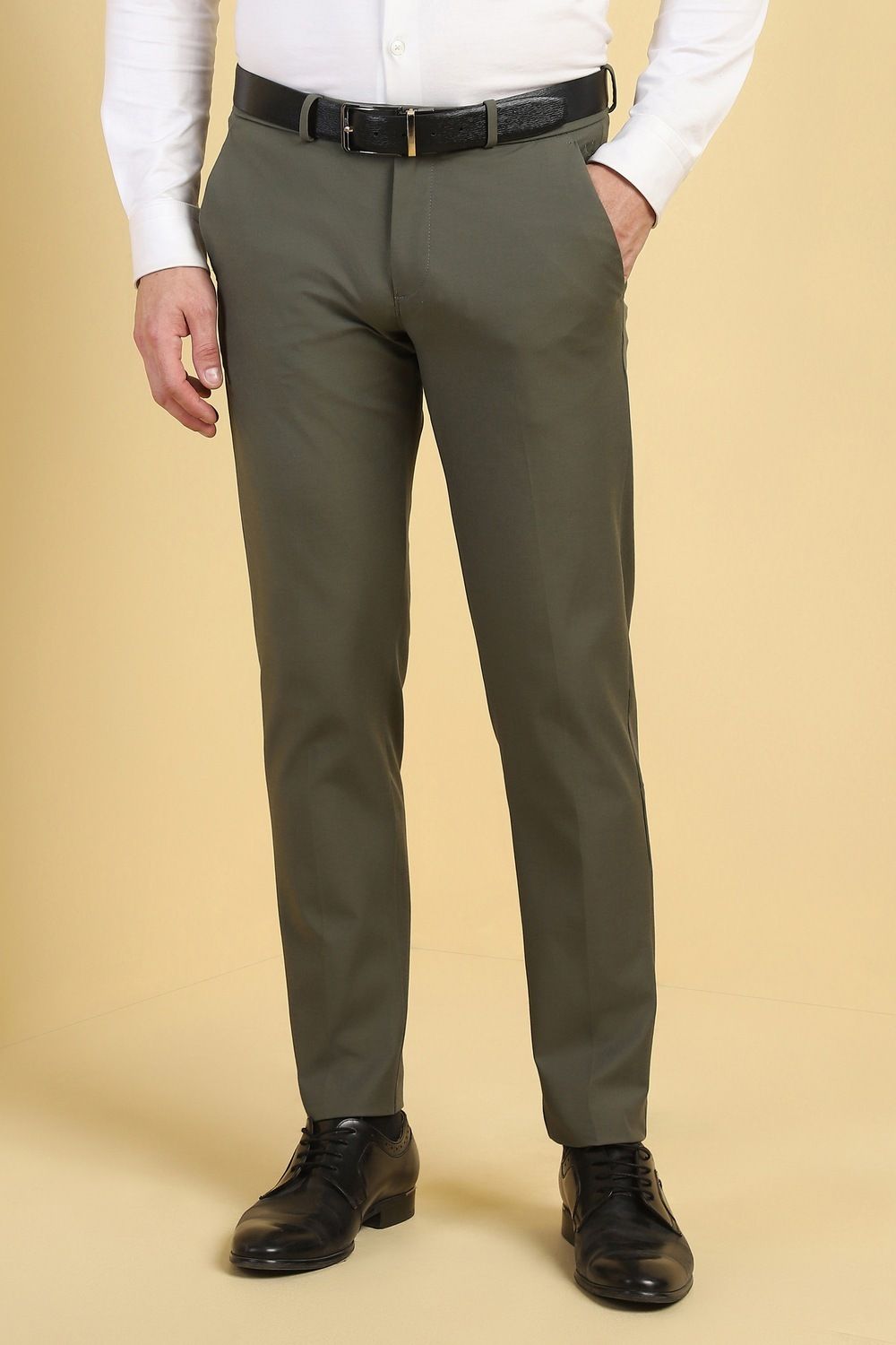allen solly Men Regular Fit Green Cotton Blend Trousers-picture-14