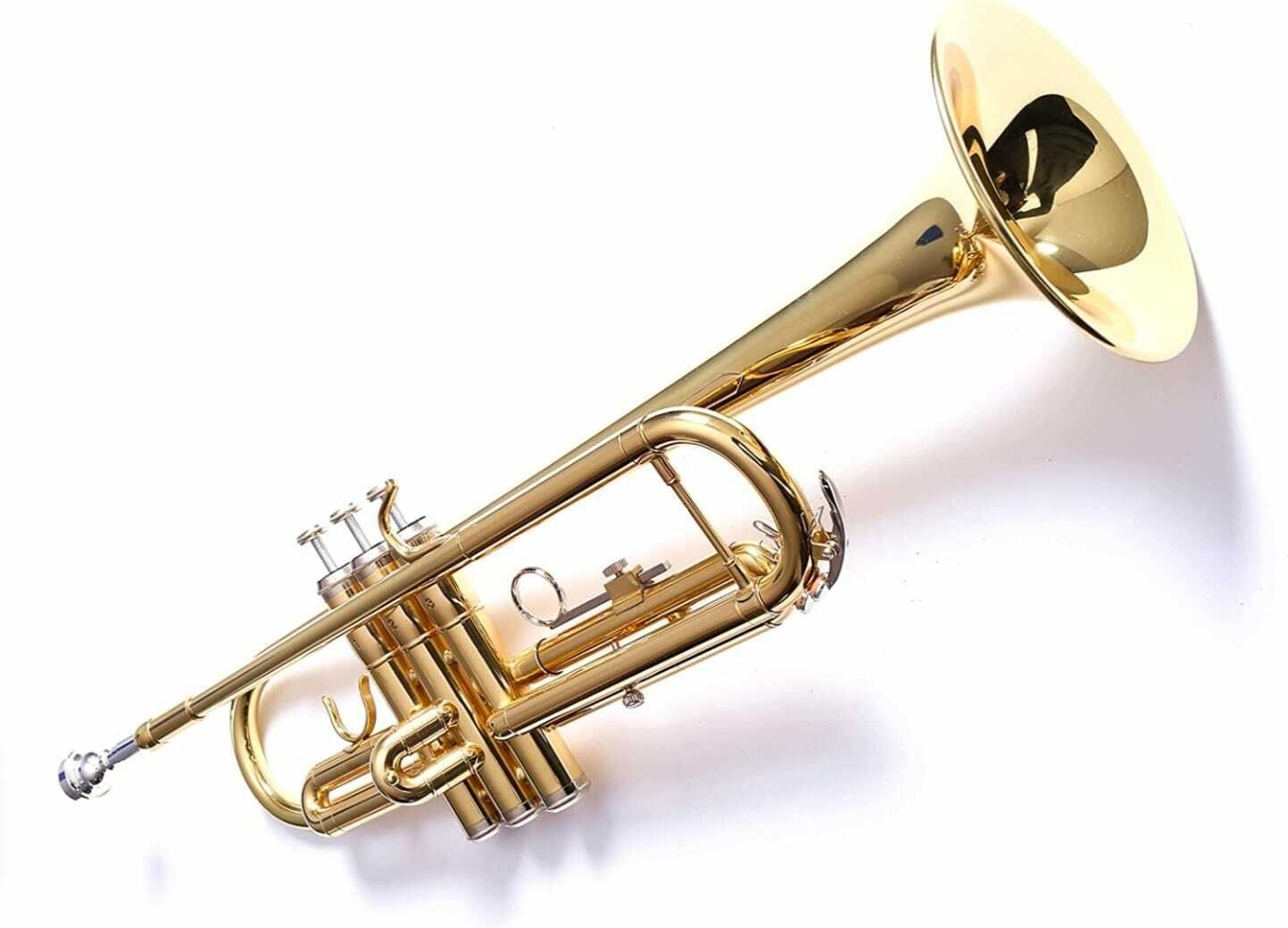 rmze Professional Special Edition RGT-005 Gold-Silver Bb Trumpet-picture-1