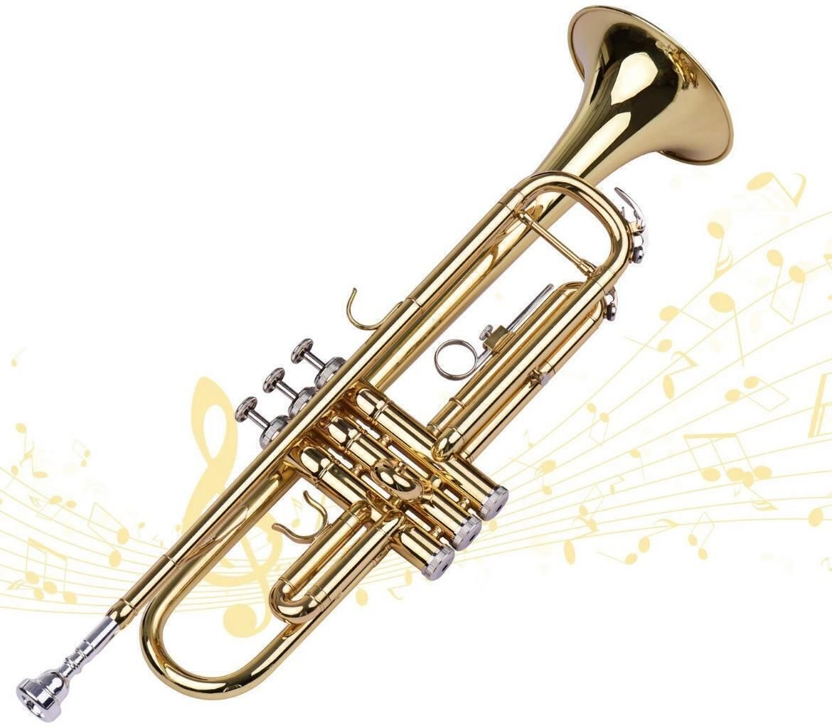 Professional TRUM-274 Gold Trumpet Set for all Players - Musical instrument RMGT-691P Gold Bb Trumpet-image-13