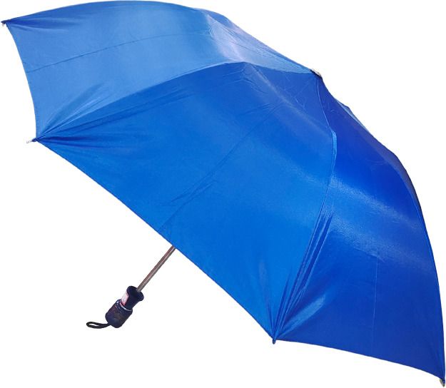 Blue 2 Fold Umbrella | Compact Lightweight Travel Umbrella for Men & Women Umbrella