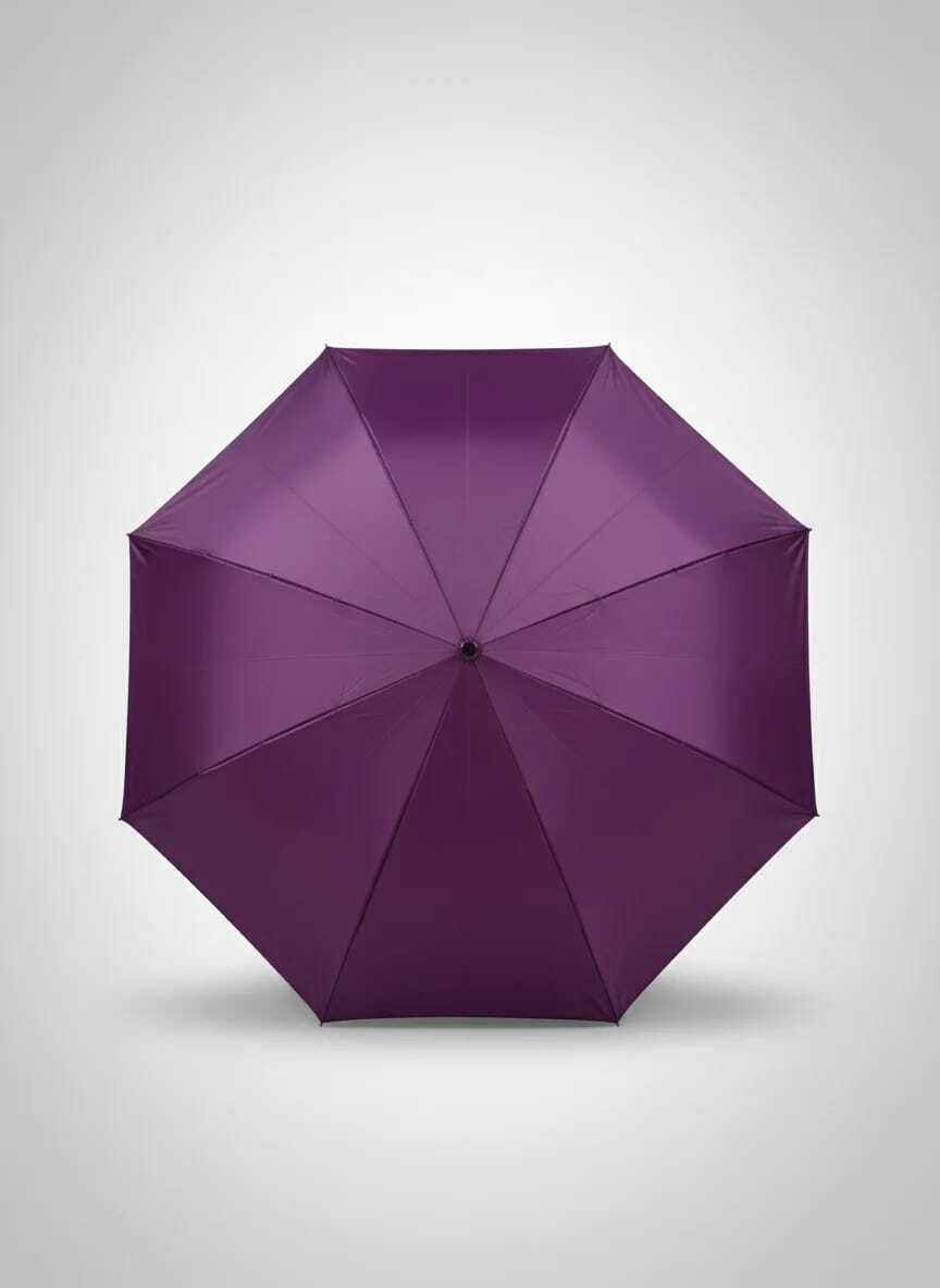 k.c. paul & sons Swapna Umbrella-picture-22
