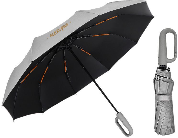 alexvyan Ring Buckle 10 Ribs Rain, Sun & UV Protection Travel Auto Open/Close Windproof Umbrella-picture-2