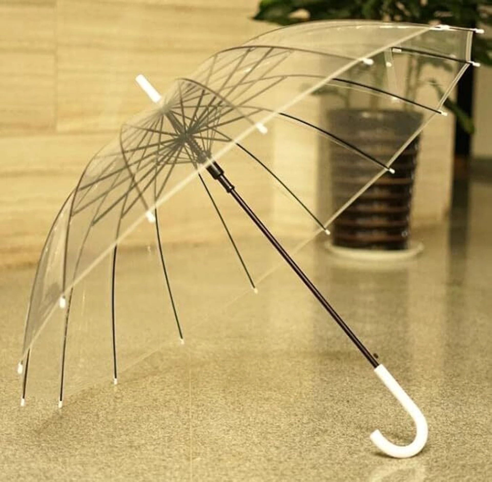 Clear Bubble Umbrella Durable Transparent Canopy Outdoor Rain Protection Umbrella-image-1
