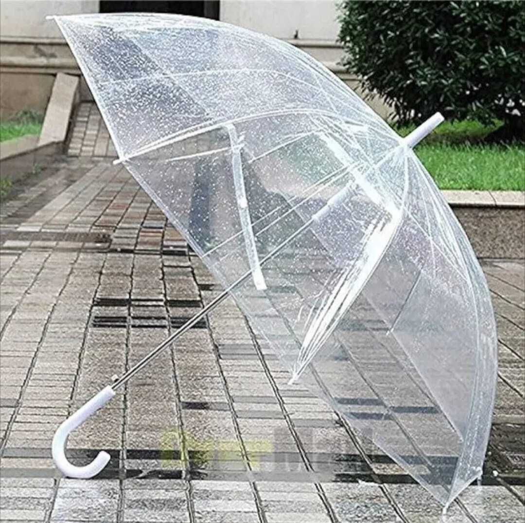 Stylish Transparent Bubble Umbrella with J Hook Handle Umbrella-image-47