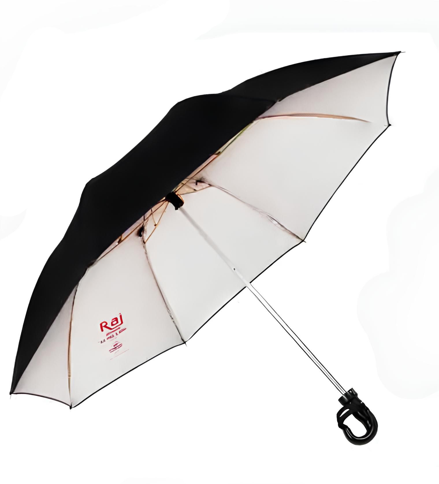 RAJ 2 fold Umbrella-image-17