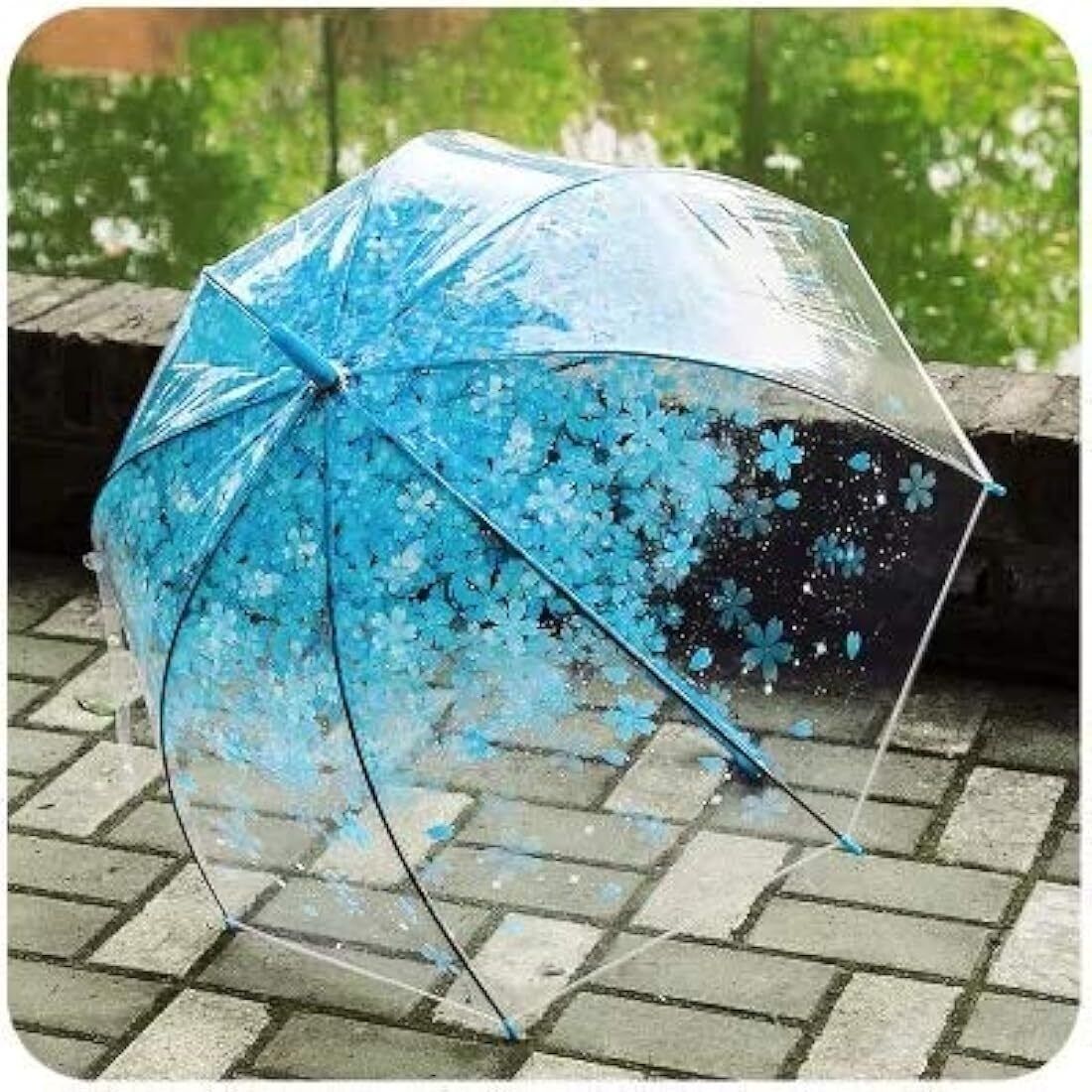 Flower Print Transparent Umbrella Blue Umbrella-image-3