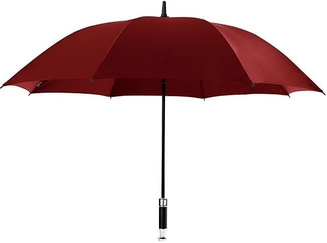Auto Open Umbrella For Man, Women, Kids, Girls and Boys/Rain and Wind Resistant Umbrella