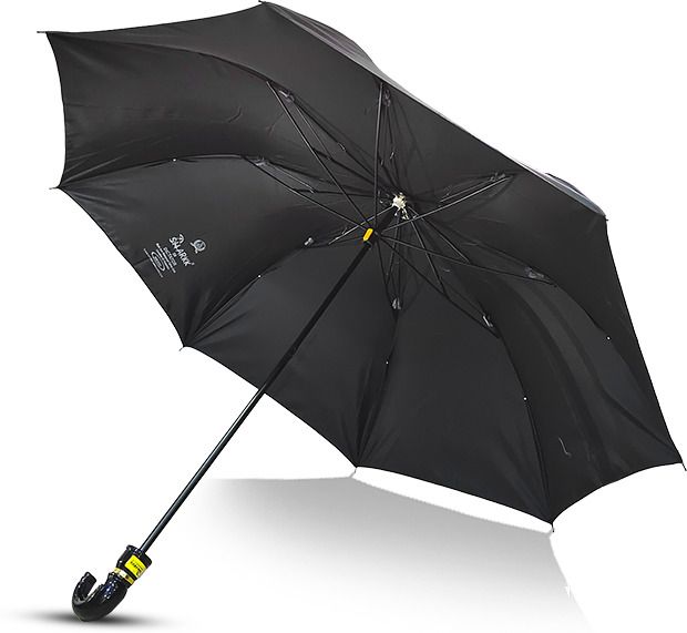 Panna-55 2-Fold Black Umbrella for Men & Women Umbrella-image-46