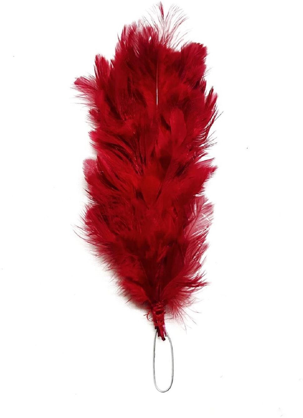 BDANSH Red Uniform Badge