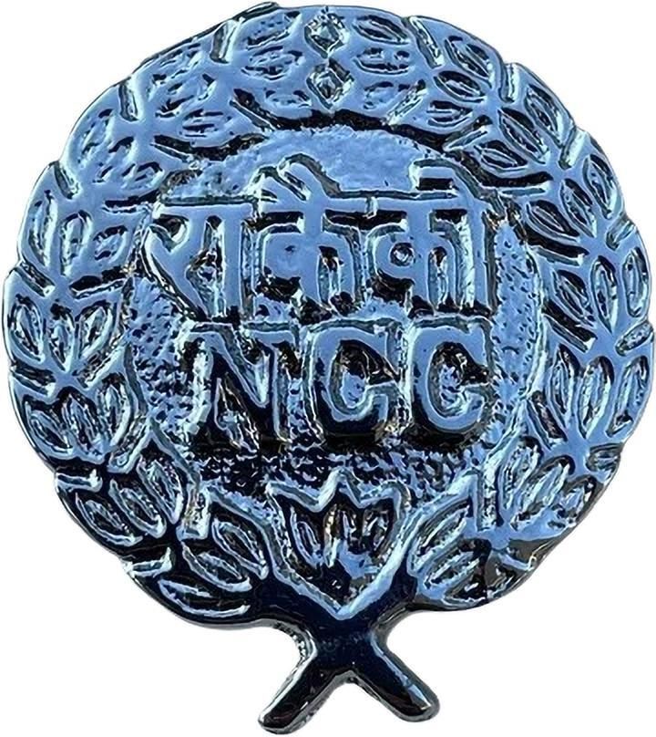 QUALITY FAB Silver Uniform Badge