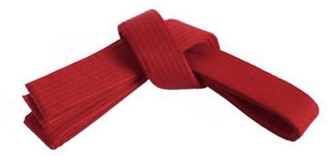 Observe Collection Red Uniform Belt-picture-15