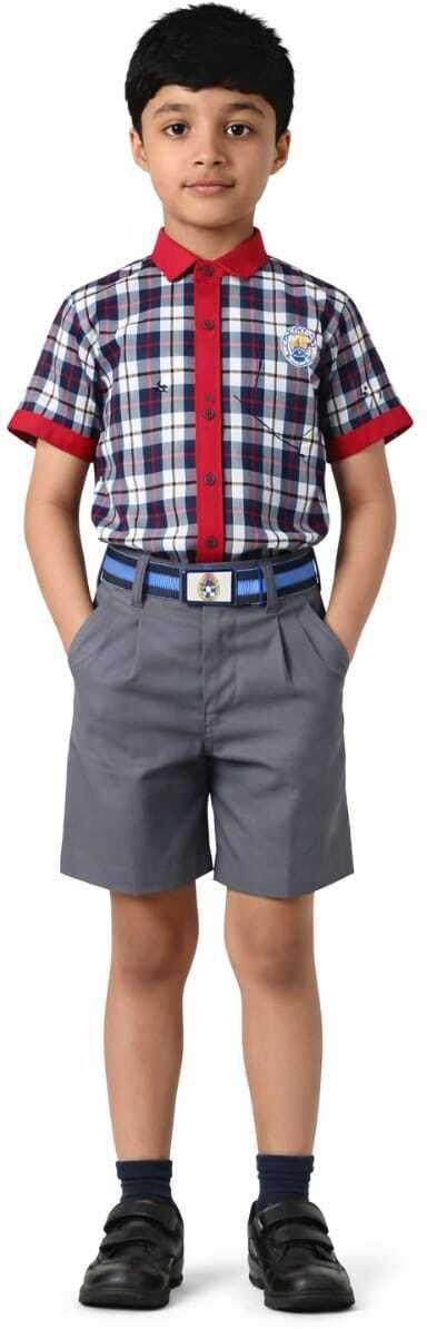 indiyana fashion Multicolor Uniform Shirt-image-18