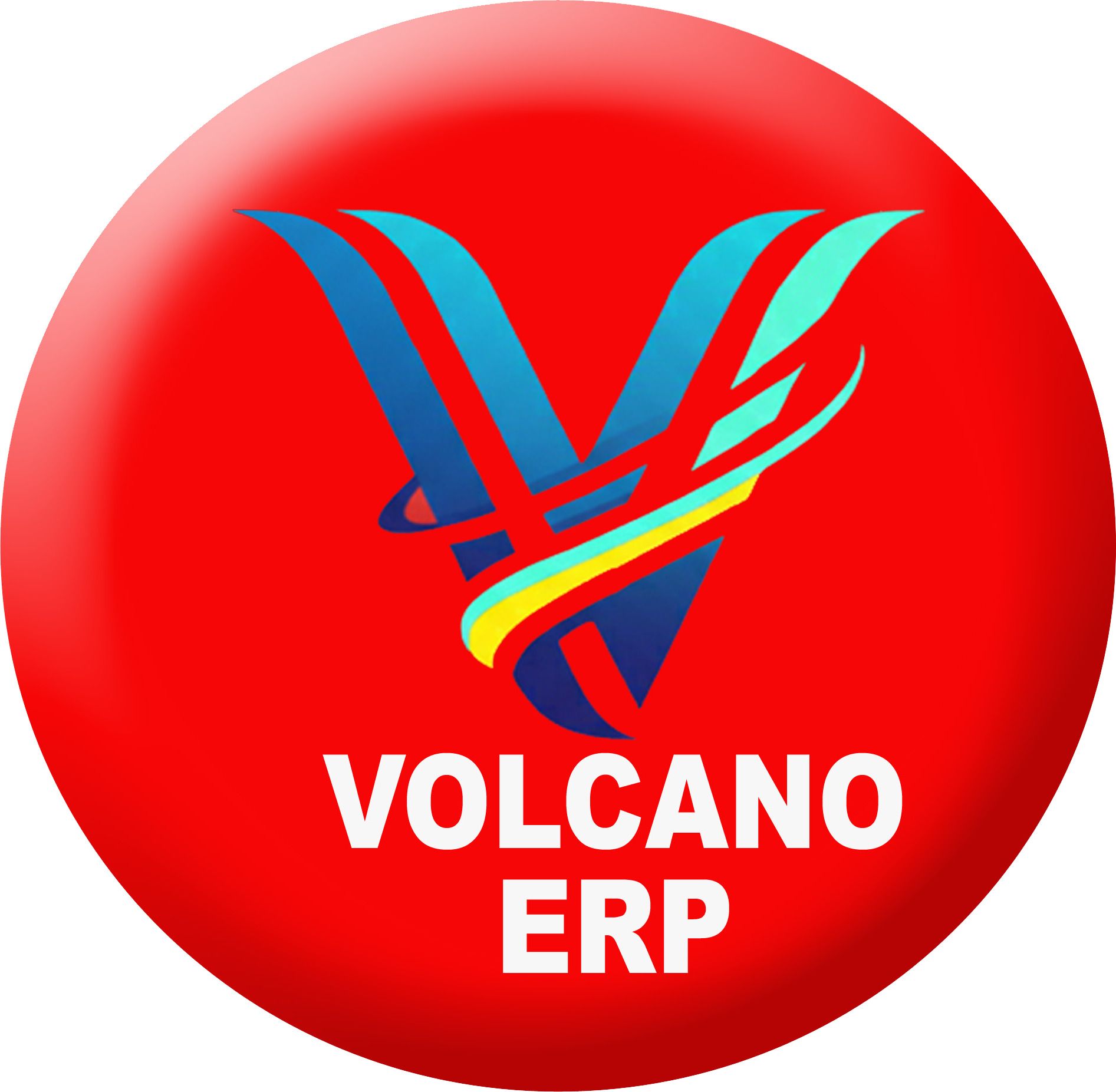 VOLCANO-ERP ERP 9-image-32