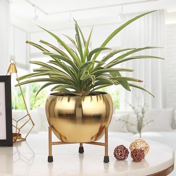 Metal Table Top Planter with Gold Finish | Elegant Home & Office Decor Iron Vase-image-13