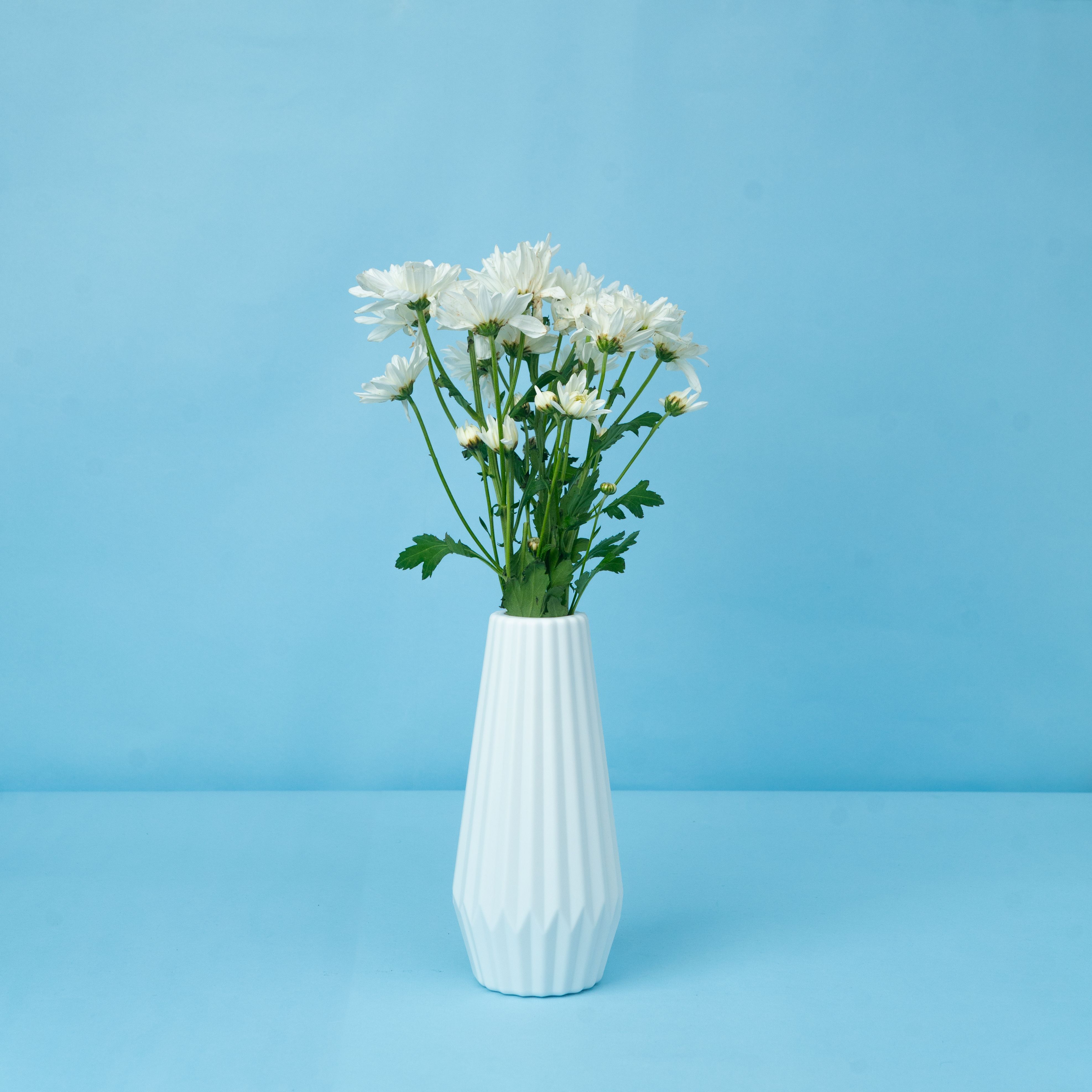 Mrida & Maati 8inch Flower Vase (Without Flower) Table vase for office and Home Plastic Vase-image-4