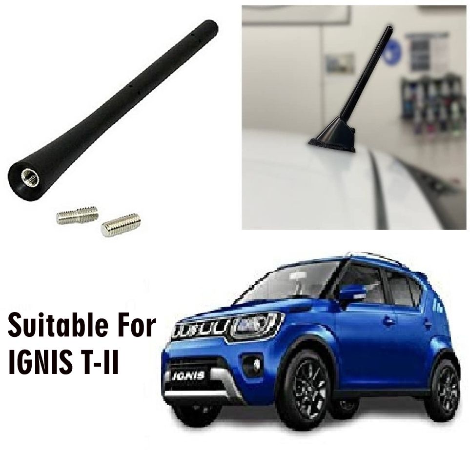 ooltah pahiya Premium Rod For Car AM/FM Roof Signal Receiver Antenna_1035 Mast Aerial With Aluminium Quality Antenna for - IGNIS T-II Satellite Vehicle Antenna-picture-10