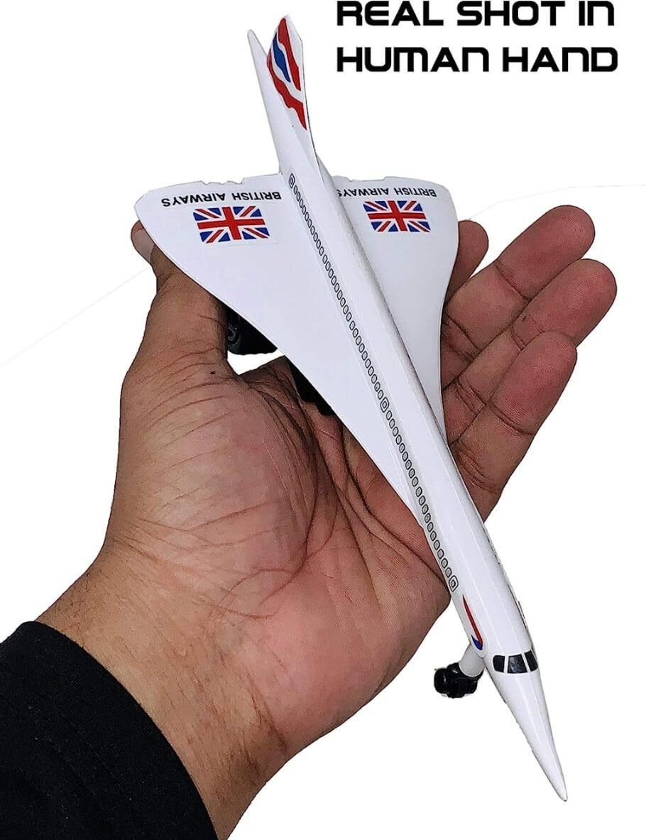 shrisha creation concord plane-picture-32