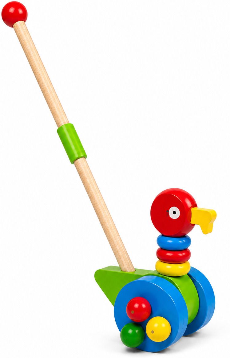 Wooden Bird Push Along Walker Montessori Educational Toy-image-45