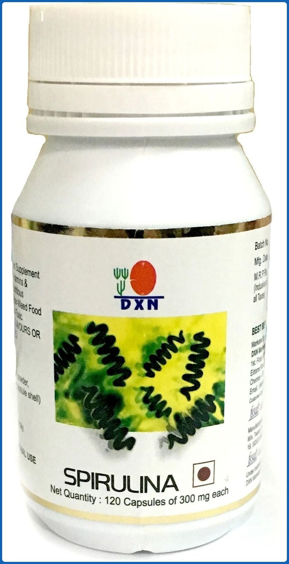 dxn VS_185-picture-43