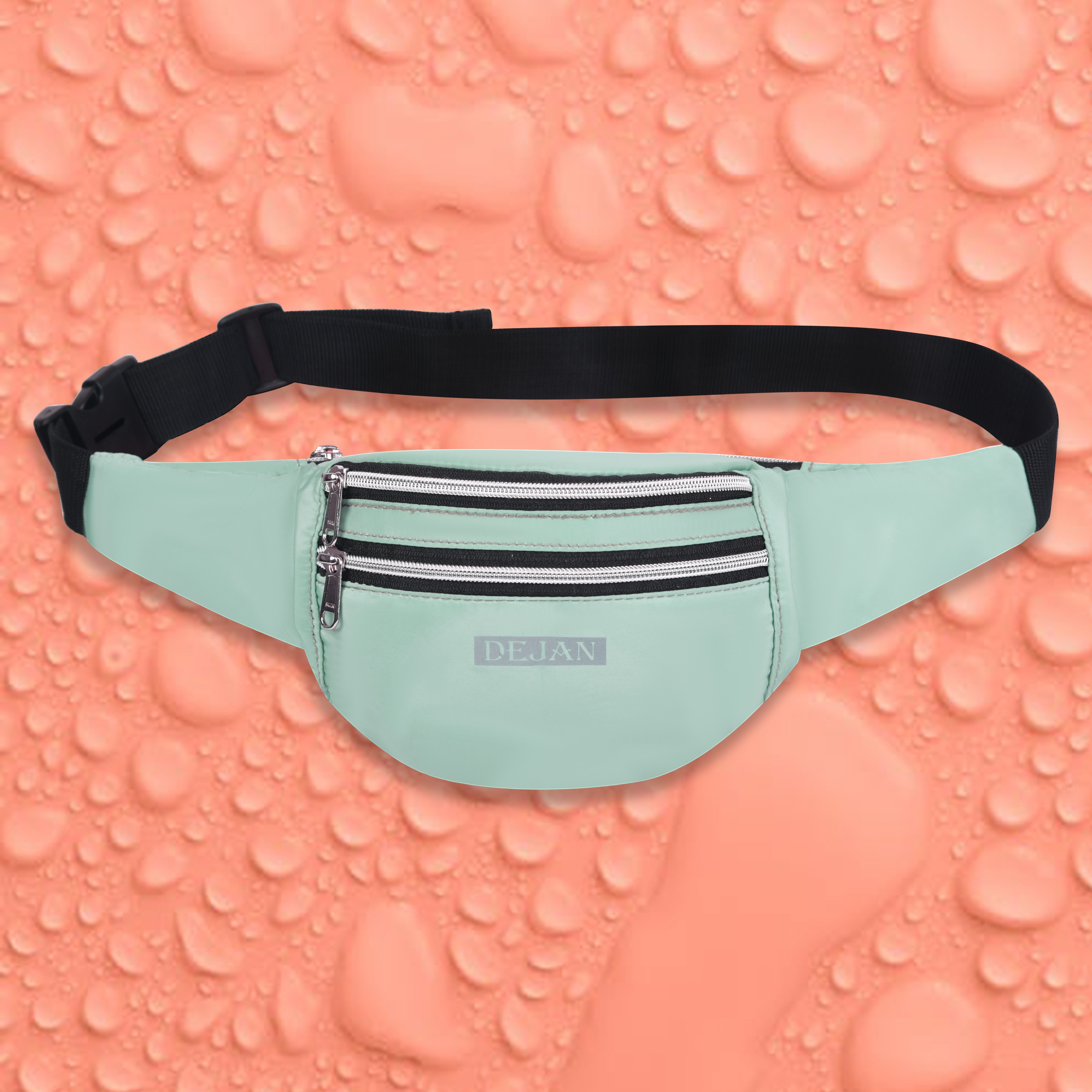 Dejan Waterproof Waist Pouch Belt Bag for Travel Hiking Camping Sports Bum Bag ( Mint) Waist Bag-picture-26