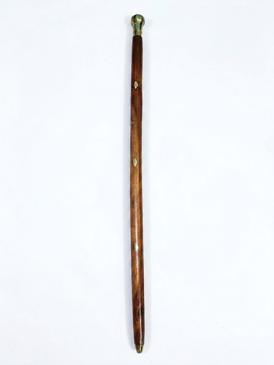 001 Walking Stick-image-33