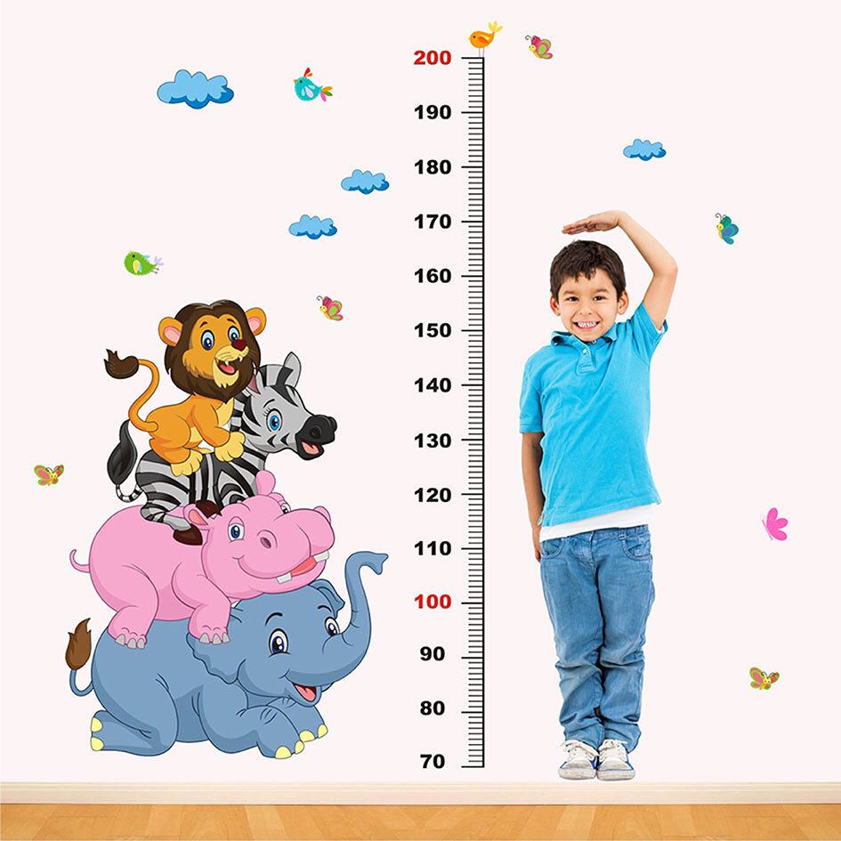 Chart - Height - Animals - Sky - Baby - Play School- Wallsticker - WP321-image-49