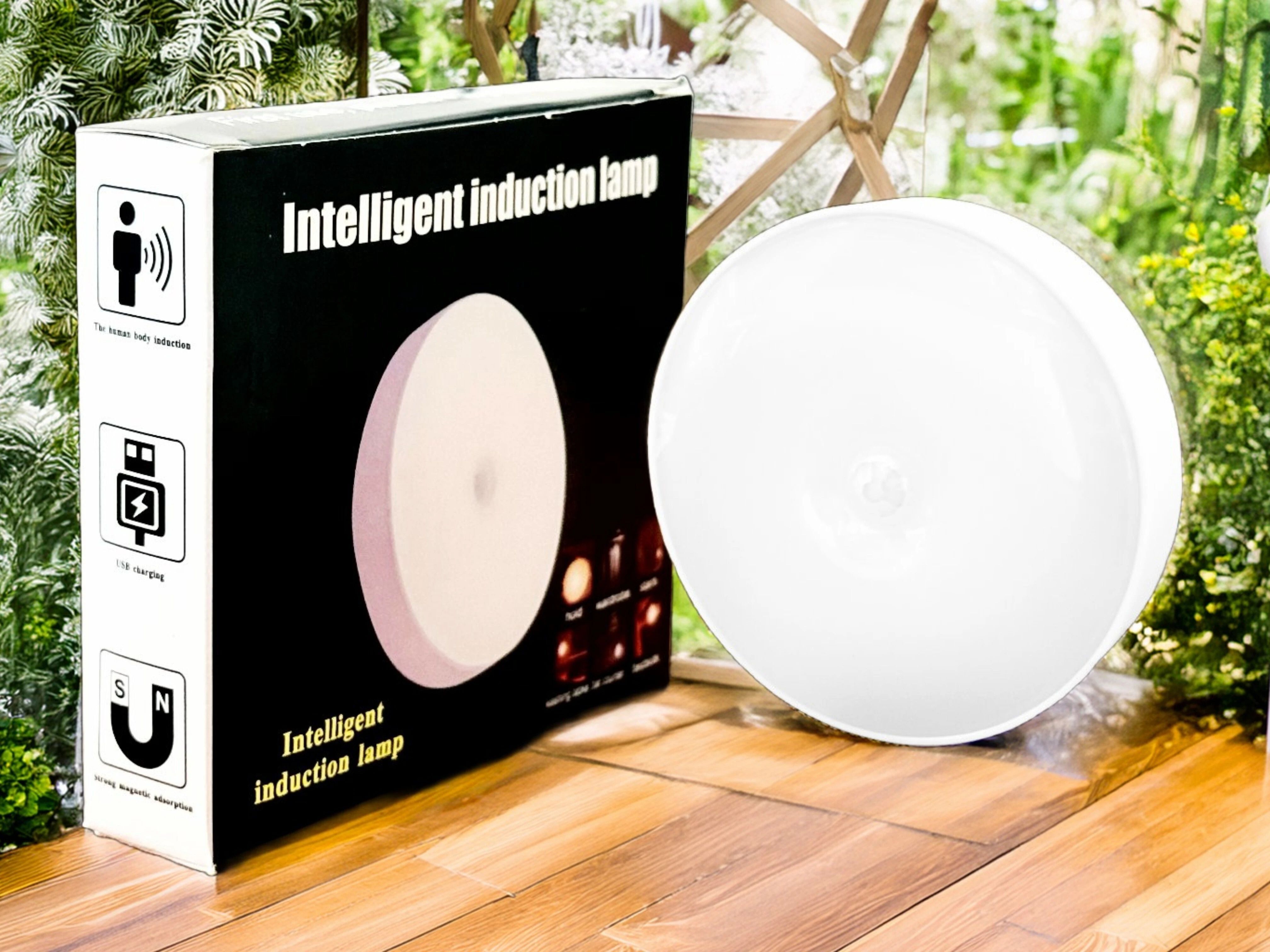Step Light Wall Lamp With Bulb-image-44