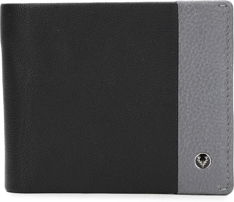 allen solly Men Black, Grey Genuine Leather Wallet-picture-39