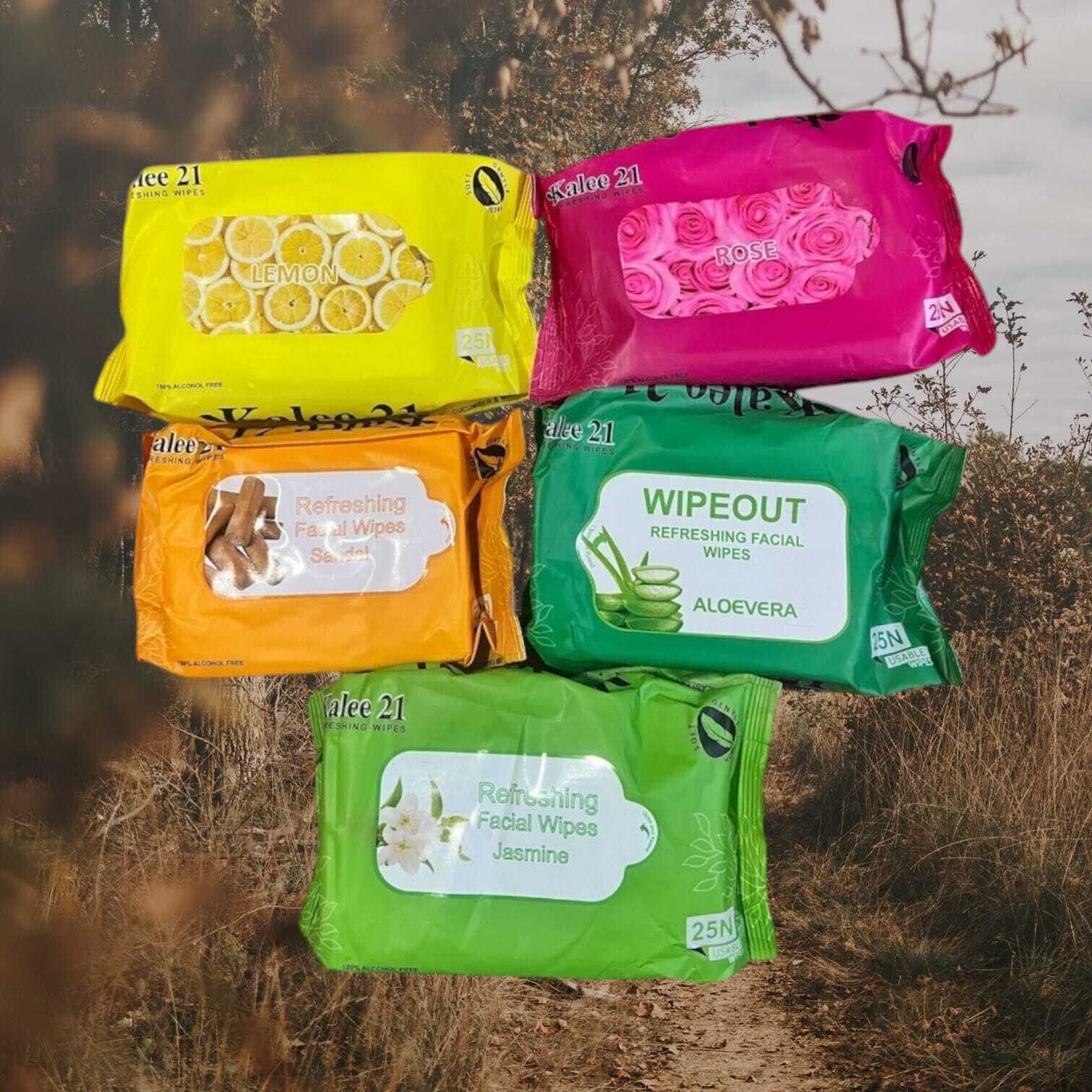 Good quality Germ Protection Wipes, Disinfectant Wet Wipes for Skin & Surfaces-image-43